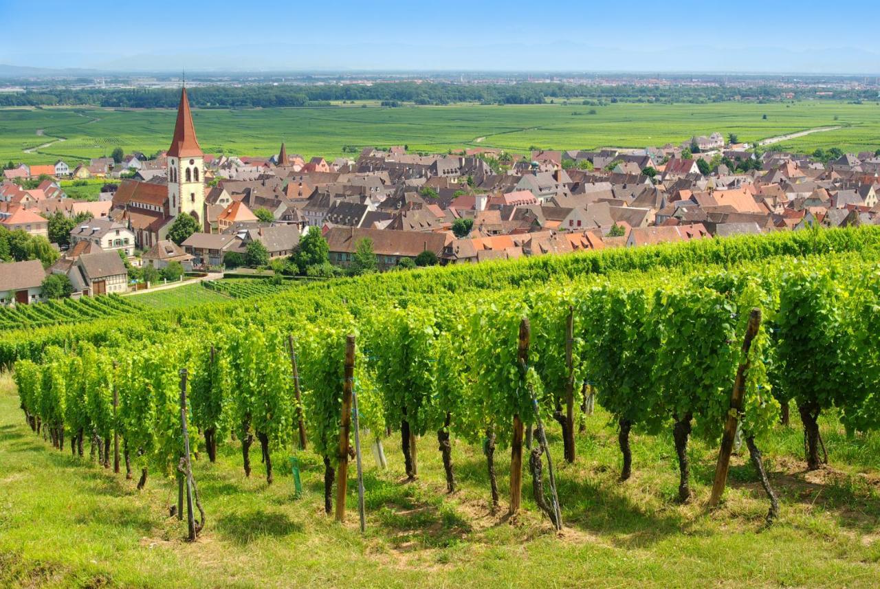 Goelia Le Domaine Du Golf Aparthotel Ammerschwihr Buitenkant foto