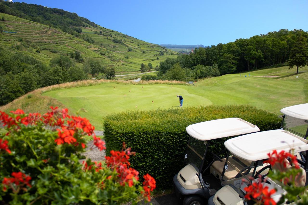 Goelia Le Domaine Du Golf Aparthotel Ammerschwihr Buitenkant foto